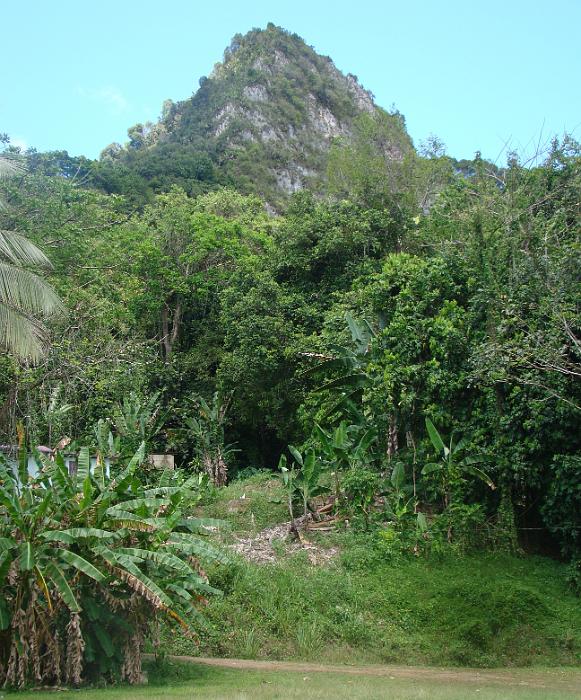 DSC02982