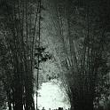 DSC01608